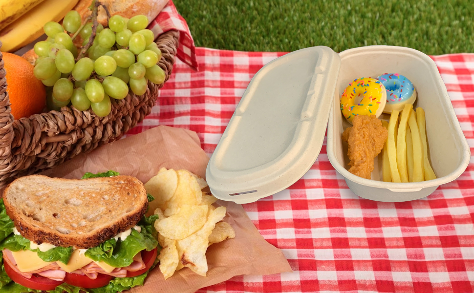 Compostable Sugarcane Bagasse Food Containers